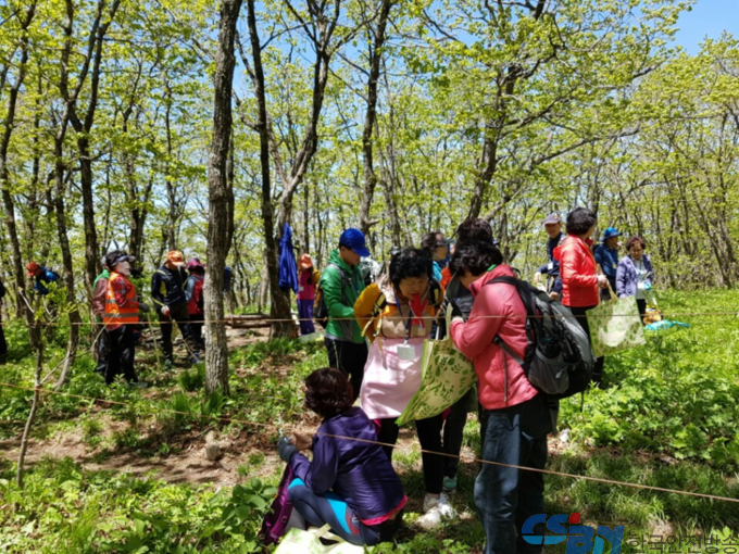 제12회 산나물 축제 산나물채취 체험행사