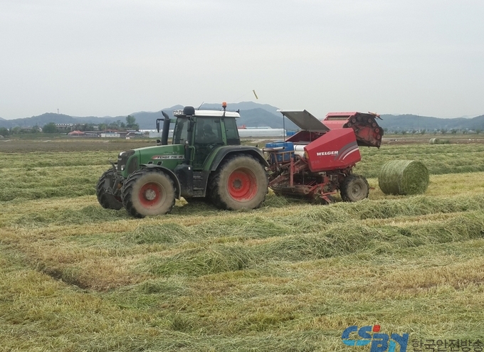 서천군농업기술센터, 사일리지 품질 향상 위한 적기 수확 강조