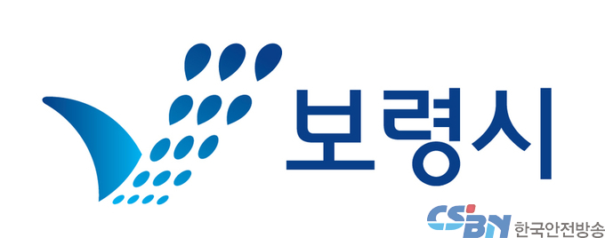 출처:보령시