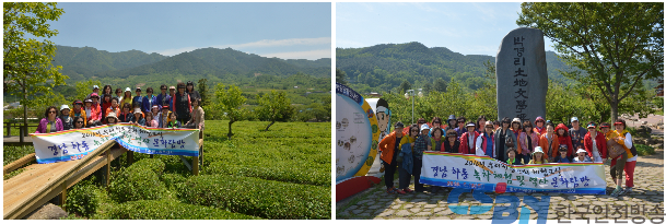 녹차체험 및 문화유적 탐방